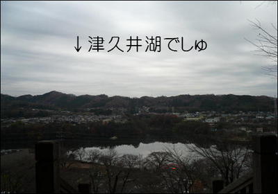 津久井湖城山公園8.JPG